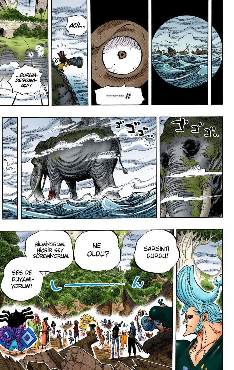 One Piece [Renkli] - Sayfa 16