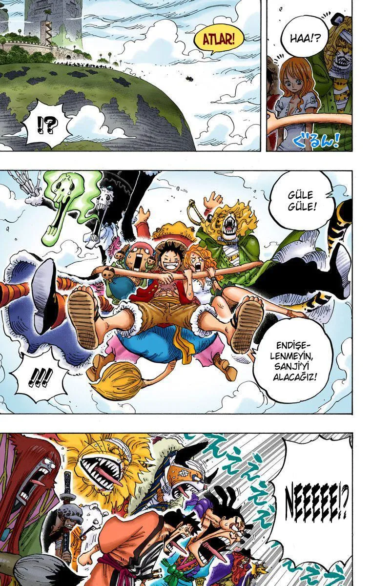 One Piece [Renkli] - Sayfa 16