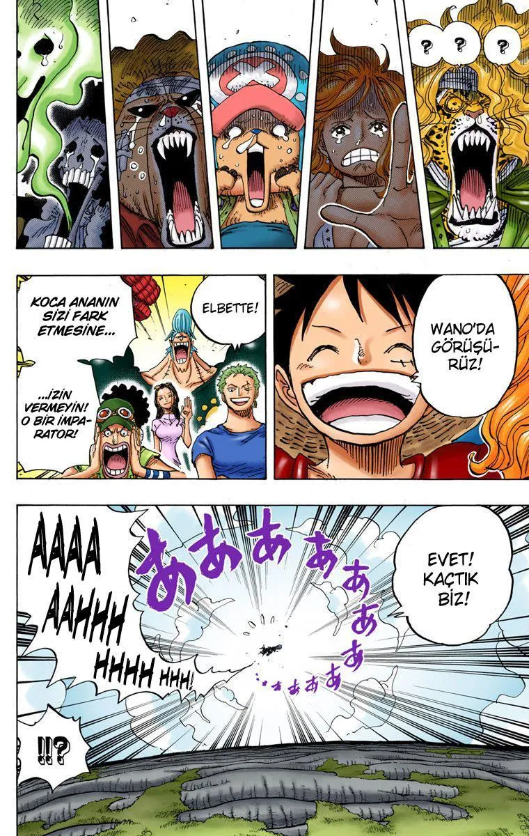 One Piece [Renkli] - Sayfa 17