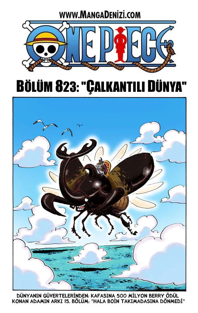 One Piece [Renkli] - Sayfa 2