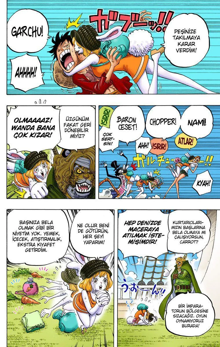 One Piece [Renkli] - Sayfa 14