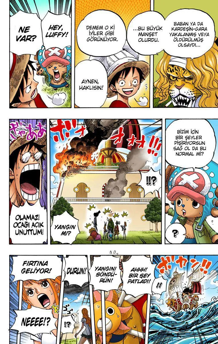 One Piece [Renkli] - Sayfa 6