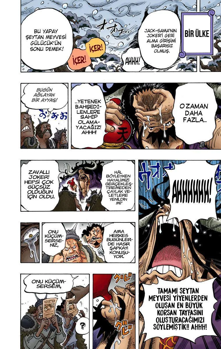 One Piece [Renkli] - Sayfa 10