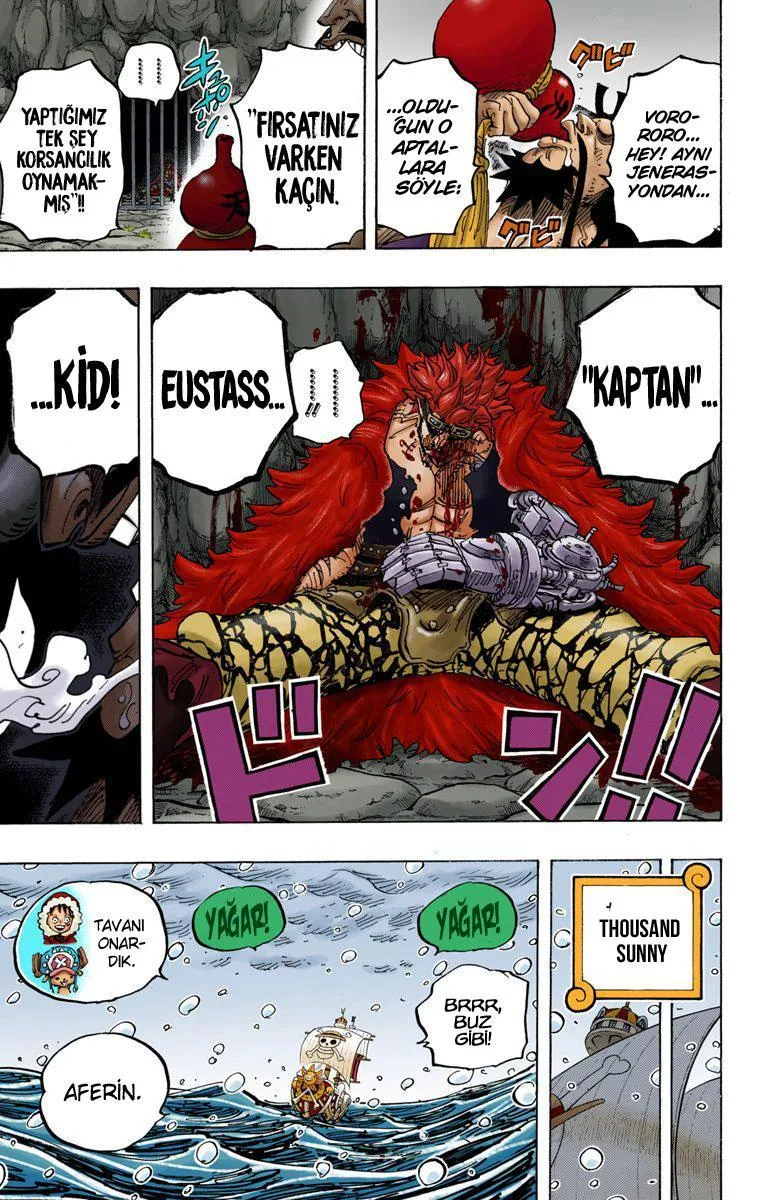 One Piece [Renkli] - Sayfa 13