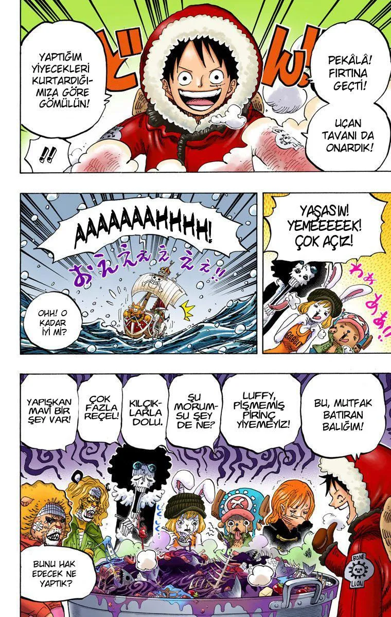 One Piece [Renkli] - Sayfa 14