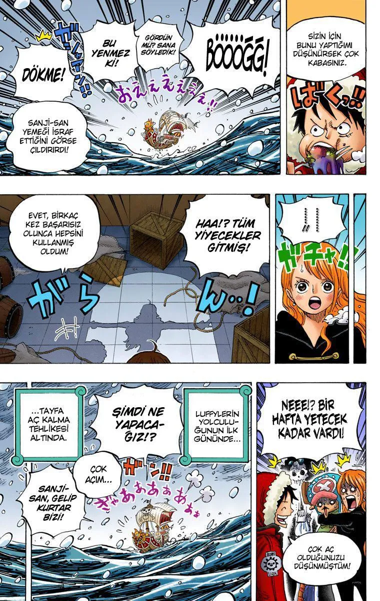 One Piece [Renkli] - Sayfa 15