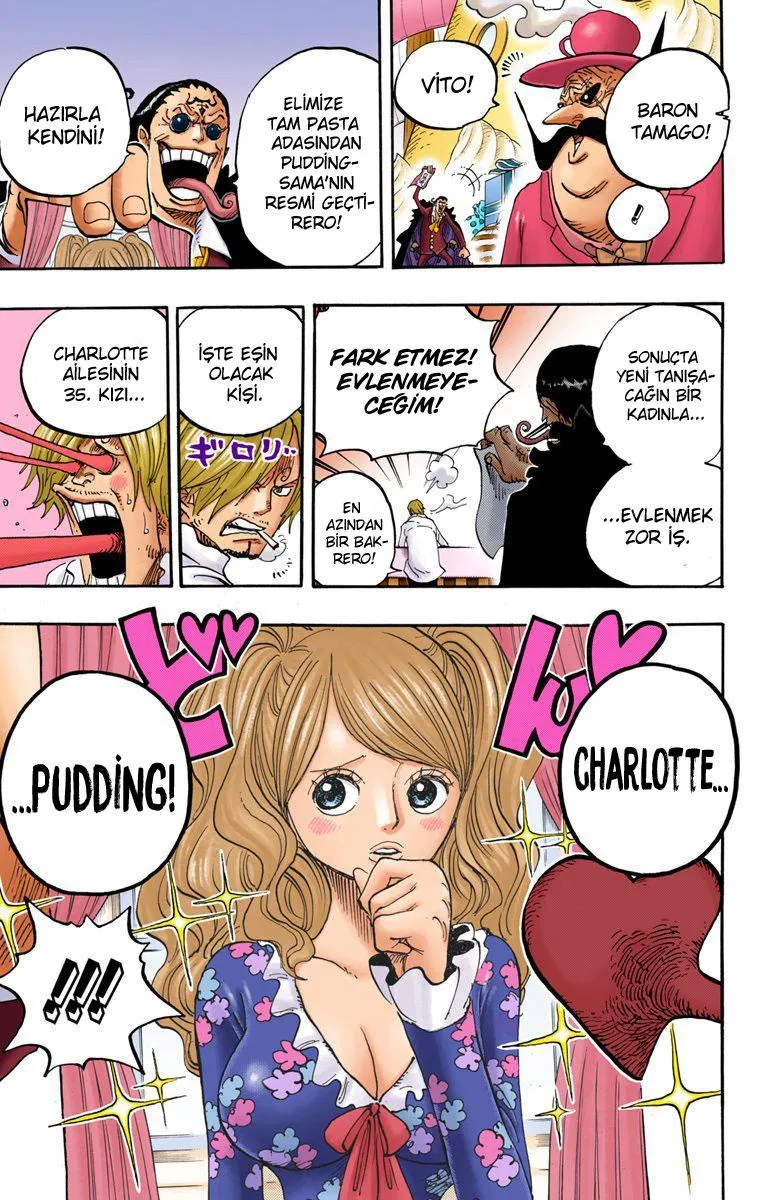 One Piece [Renkli] - Sayfa 19