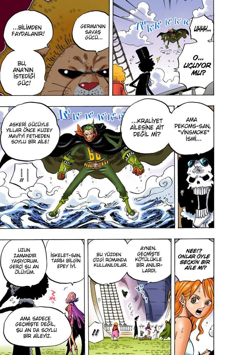 One Piece [Renkli] - Sayfa 10
