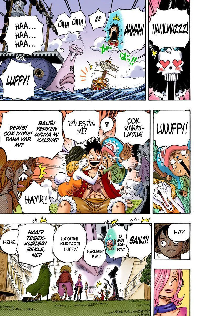 One Piece [Renkli] - Sayfa 14