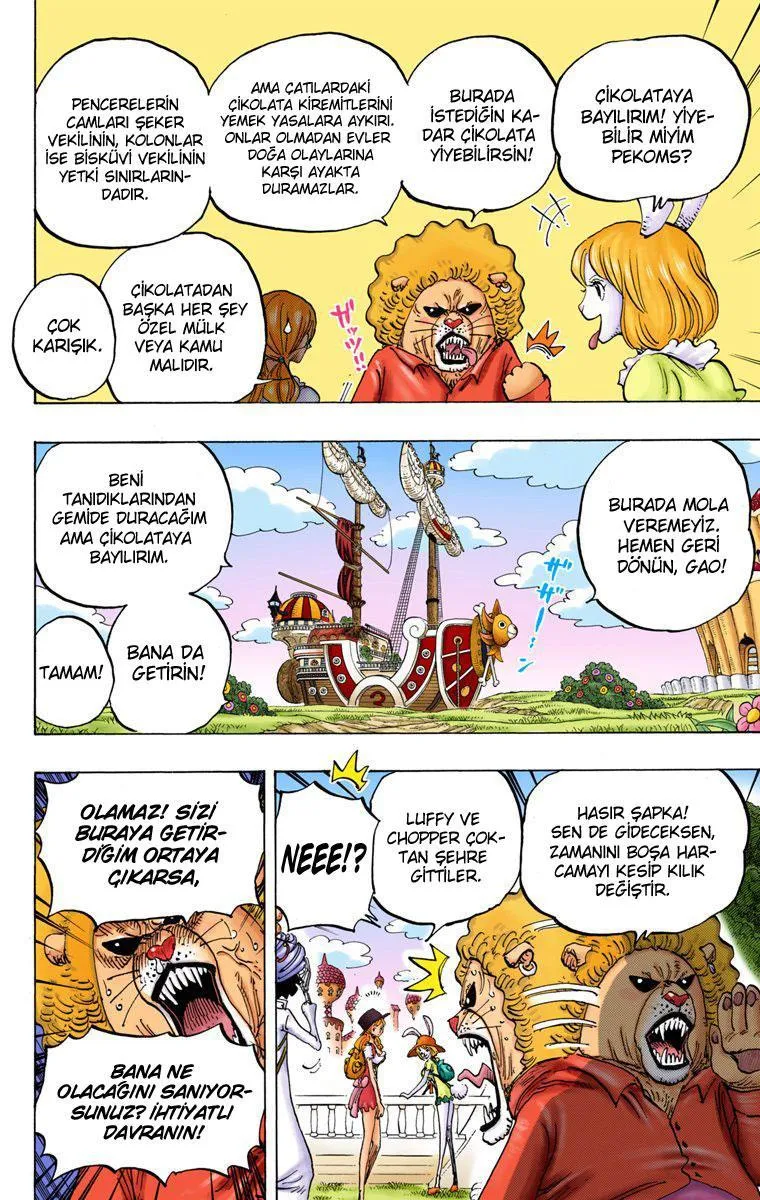 One Piece [Renkli] - Sayfa 7