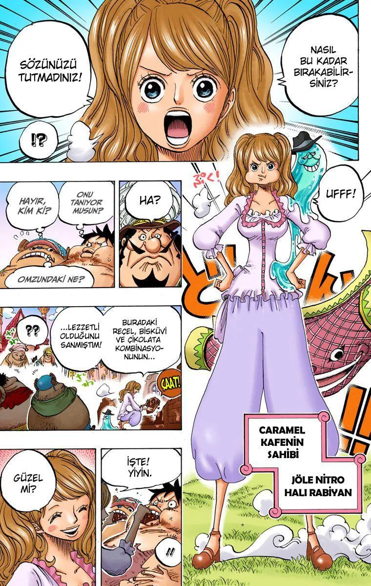 One Piece [Renkli] - Sayfa 10