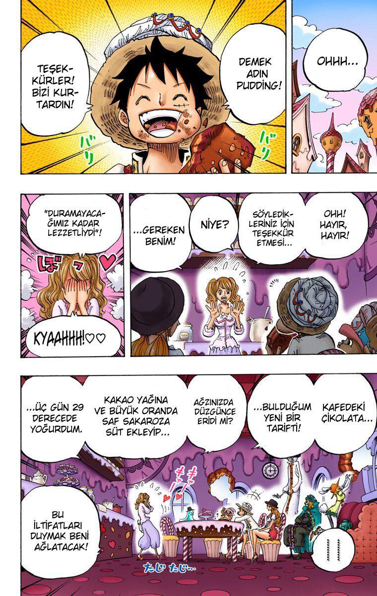 One Piece [Renkli] mangasının 827 bölümünün 13. sayfasını okuyorsunuz.