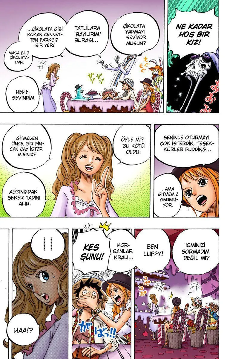 One Piece [Renkli] - Sayfa 14