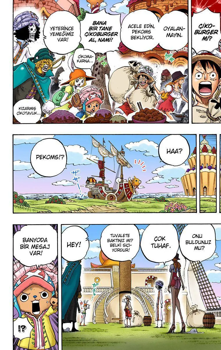 One Piece [Renkli] - Sayfa 13