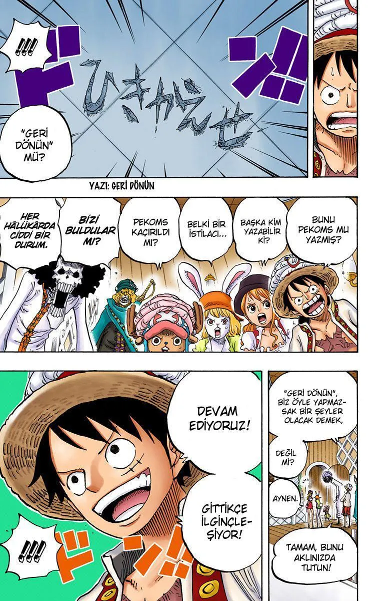 One Piece [Renkli] - Sayfa 14
