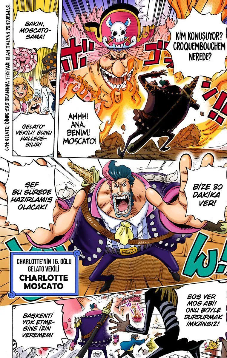 One Piece [Renkli] - Sayfa 10