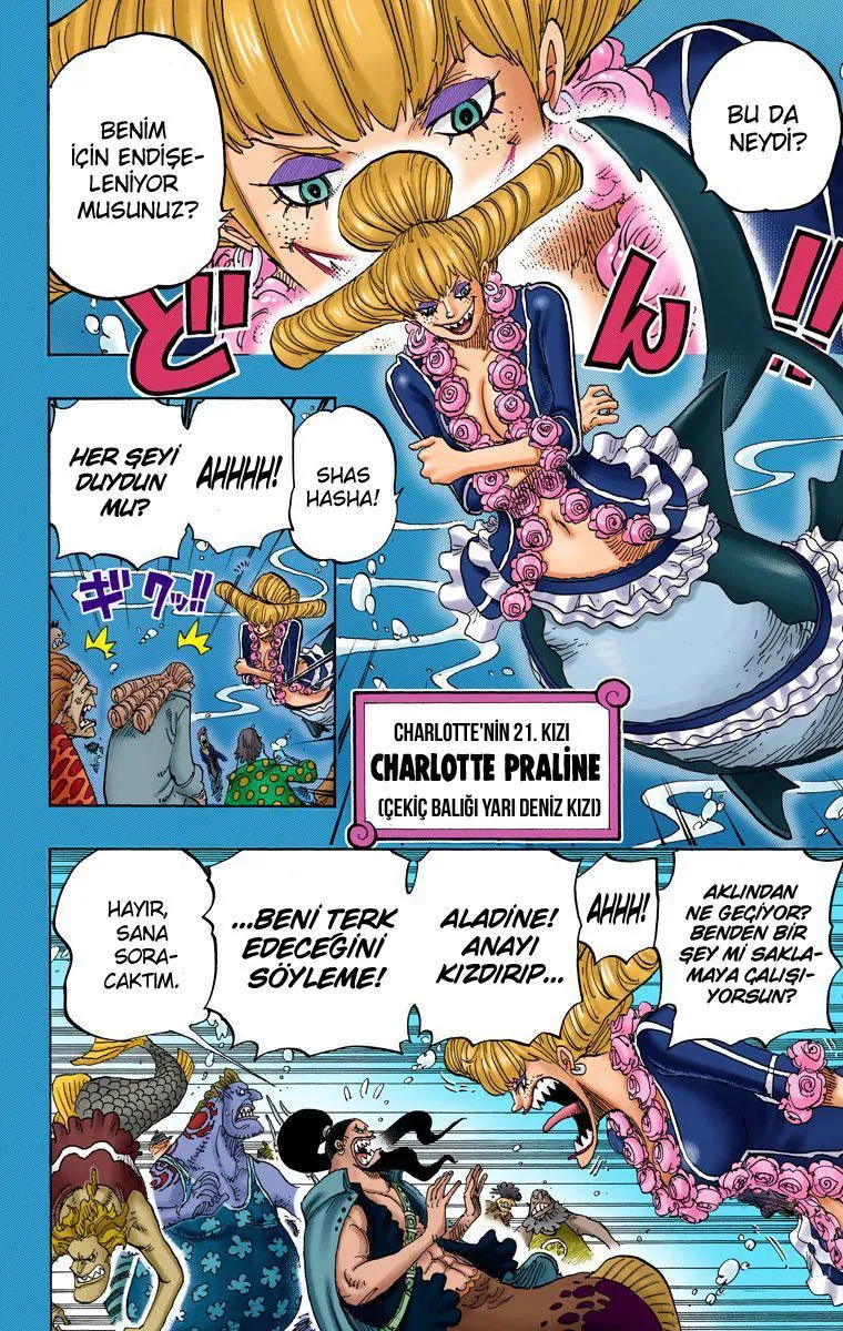 One Piece [Renkli] - Sayfa 7