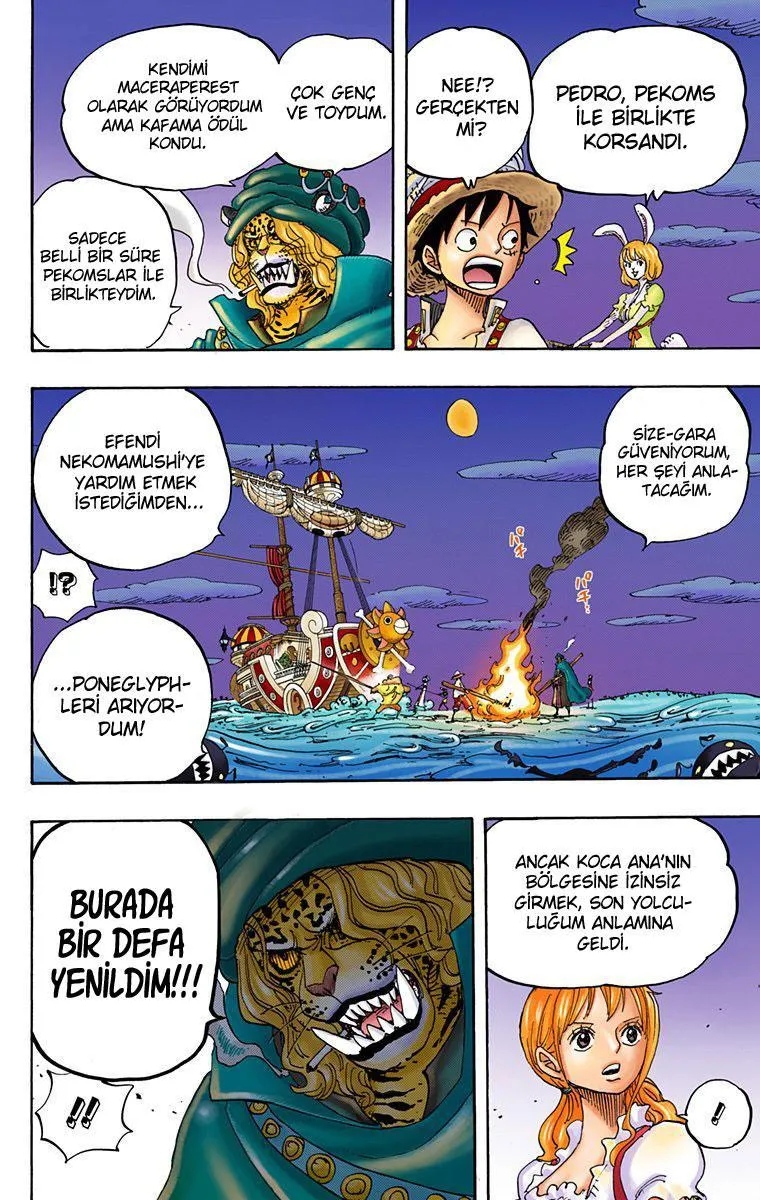 One Piece [Renkli] - Sayfa 13