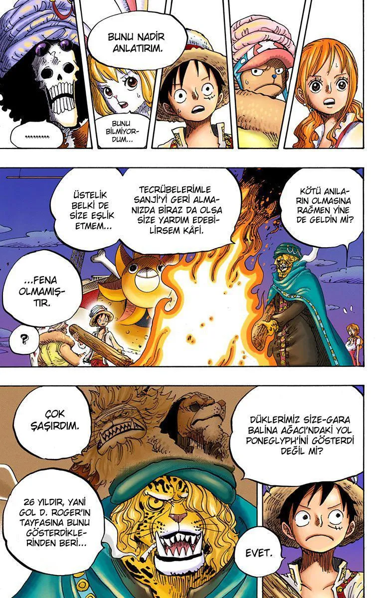 One Piece [Renkli] - Sayfa 14