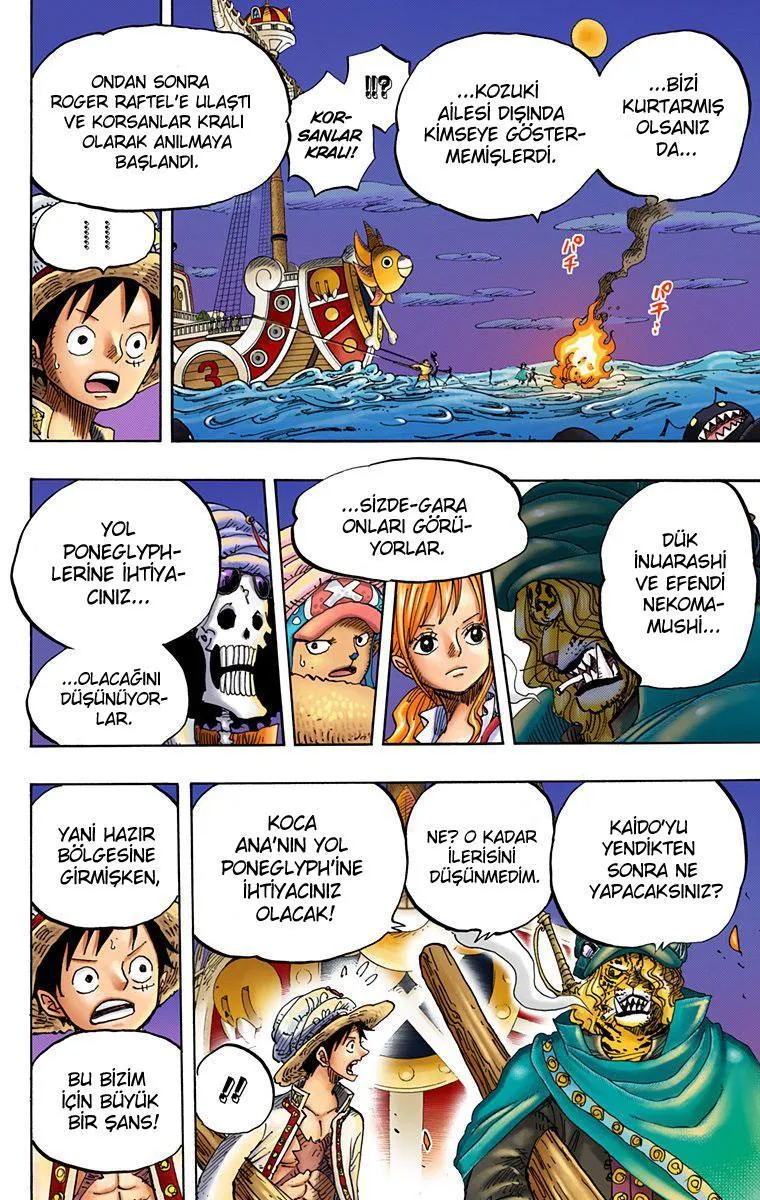 One Piece [Renkli] - Sayfa 15
