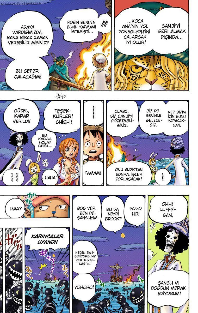 One Piece [Renkli] - Sayfa 16