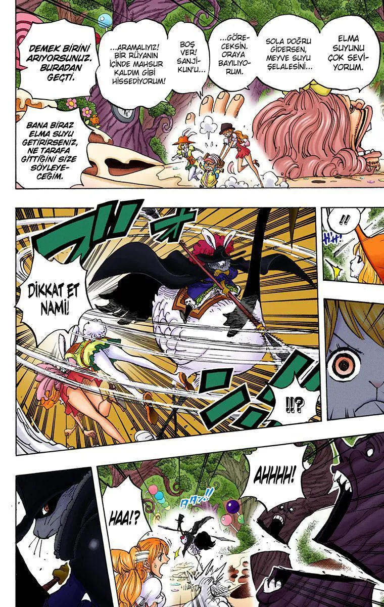 One Piece [Renkli] - Sayfa 17