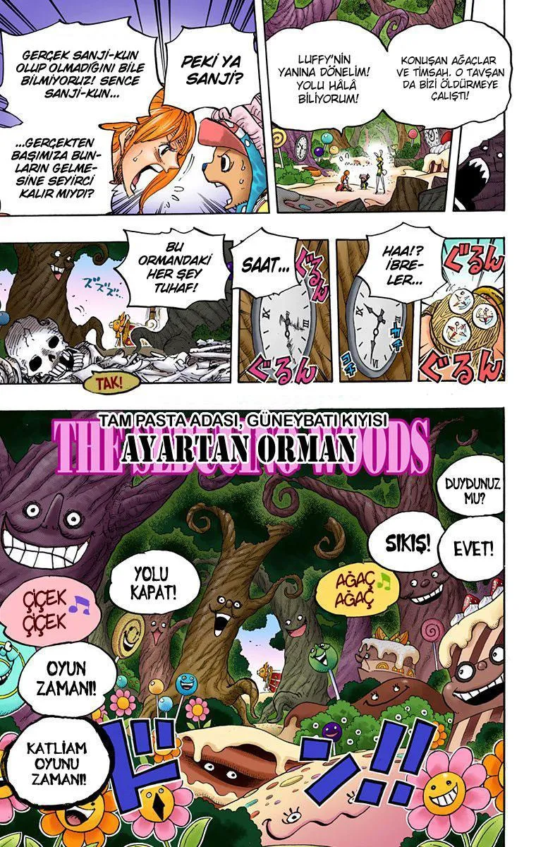 One Piece [Renkli] - Sayfa 18