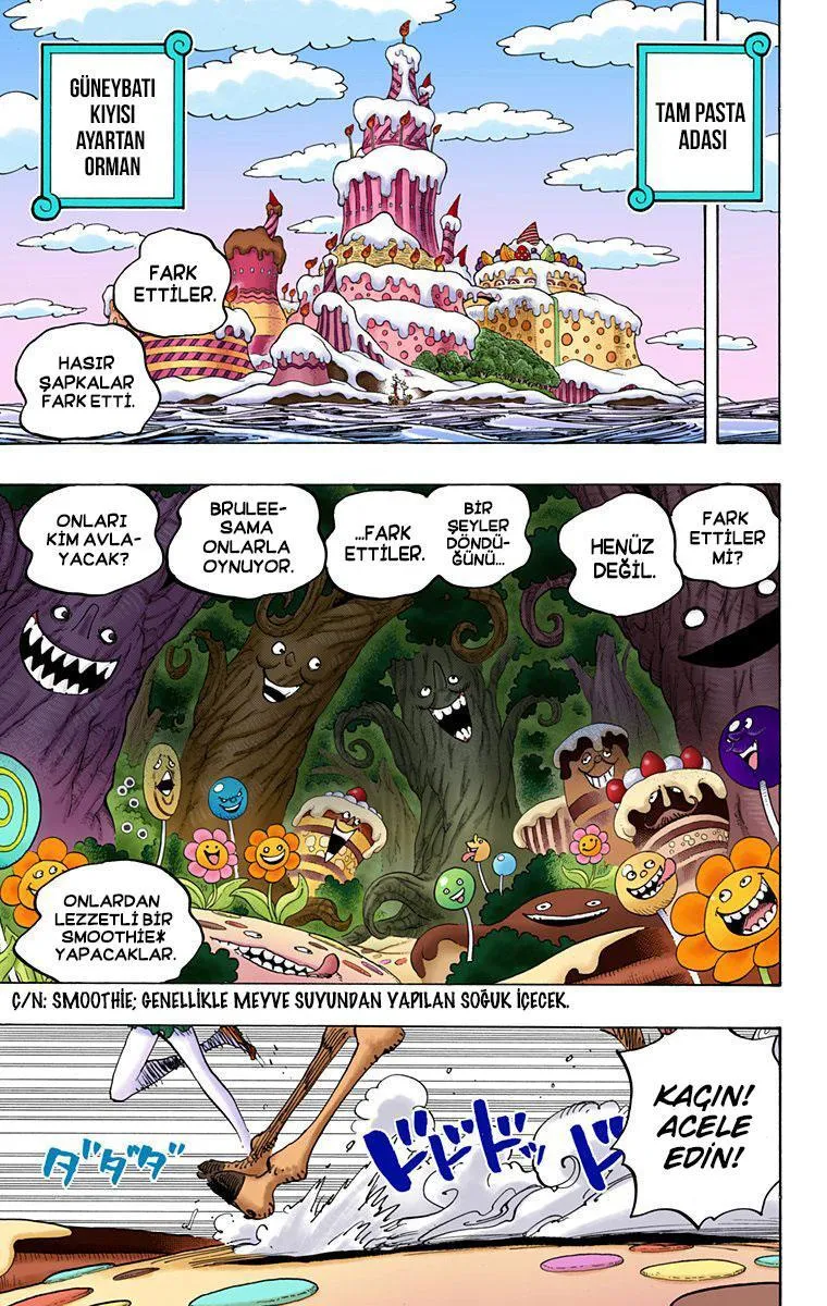 One Piece [Renkli] - Sayfa 3