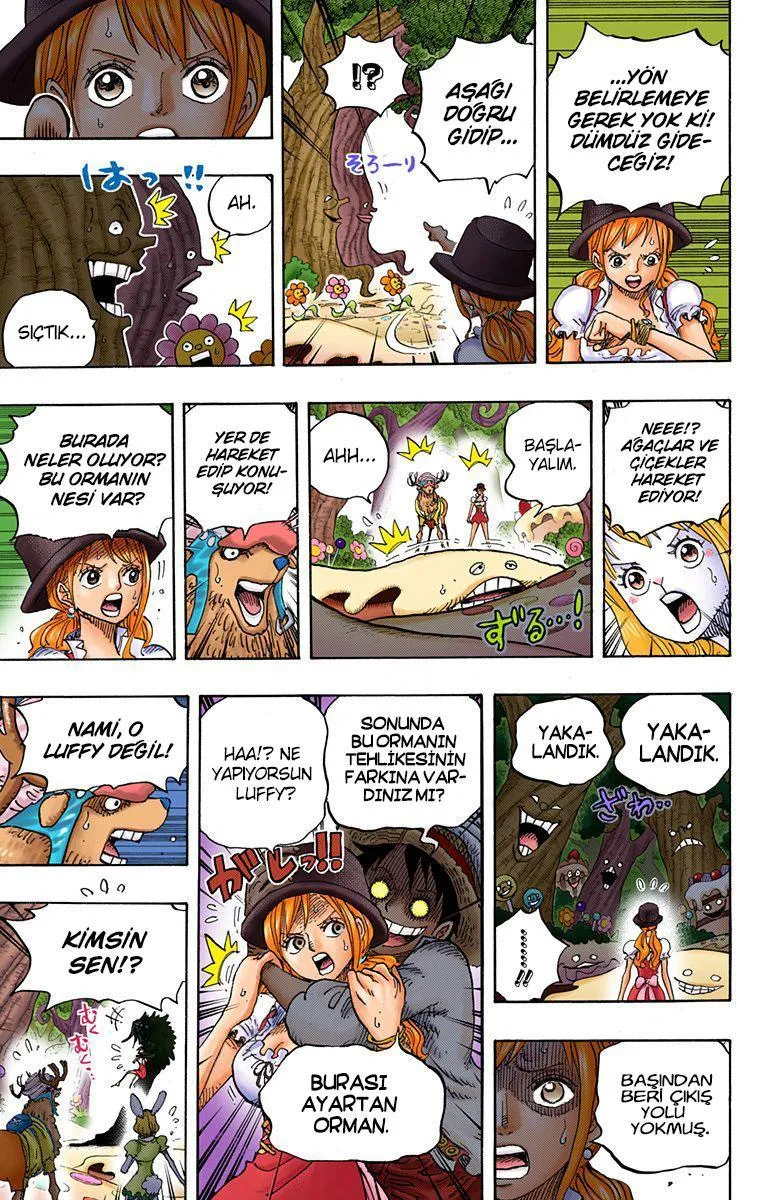 One Piece [Renkli] - Sayfa 11