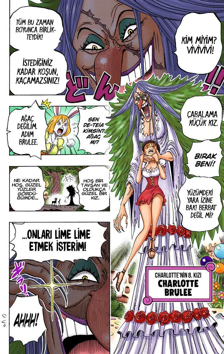 One Piece [Renkli] - Sayfa 12