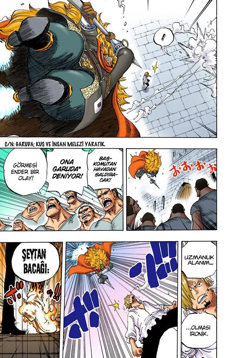 One Piece [Renkli] - Sayfa 11