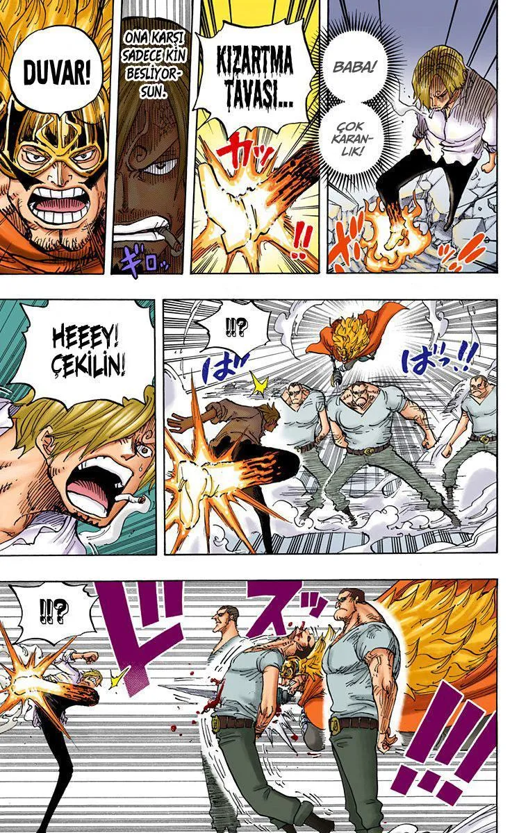 One Piece [Renkli] - Sayfa 15