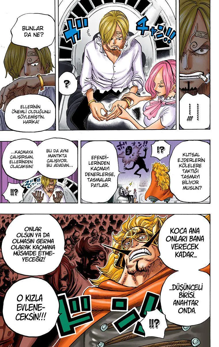 One Piece [Renkli] - Bölüm 0833 - Sayfa 19