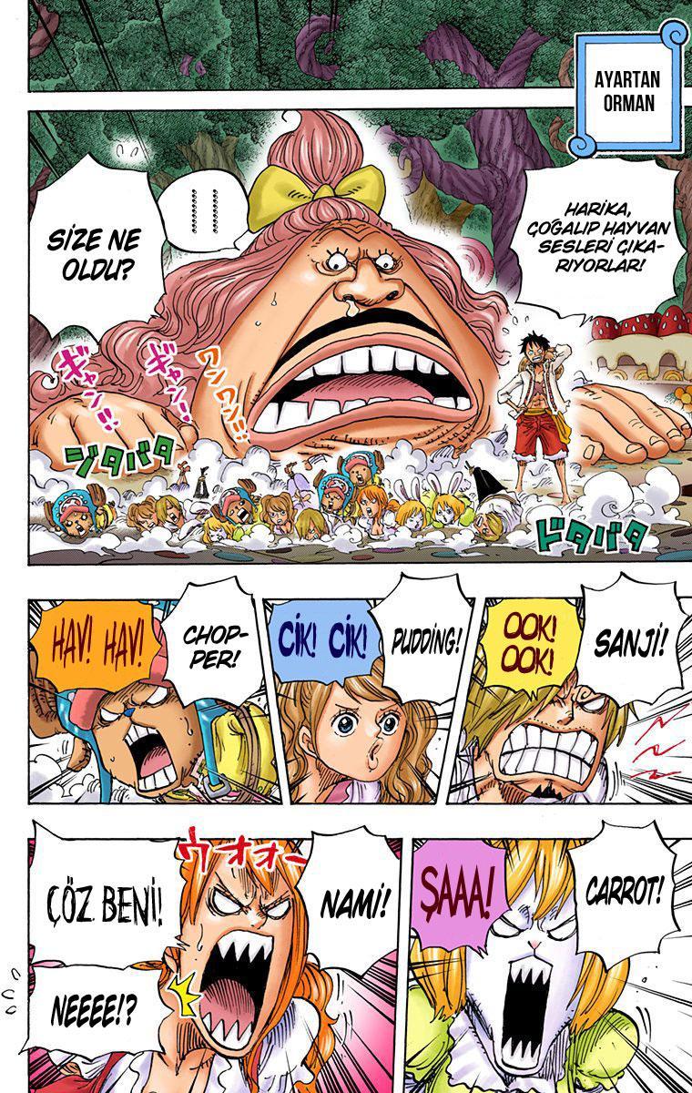 One Piece [Renkli] mangasının 835 bölümünün 4. sayfasını okuyorsunuz.