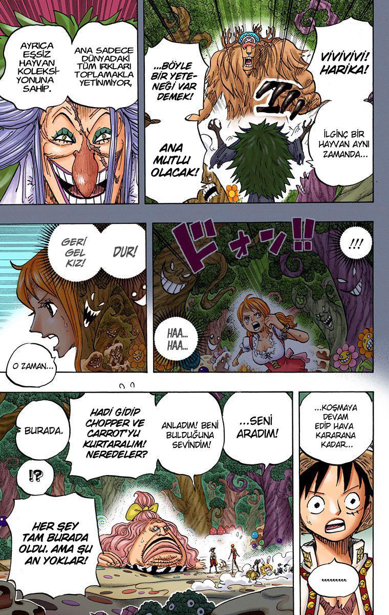 One Piece [Renkli] mangasının 835 bölümünün 13. sayfasını okuyorsunuz.