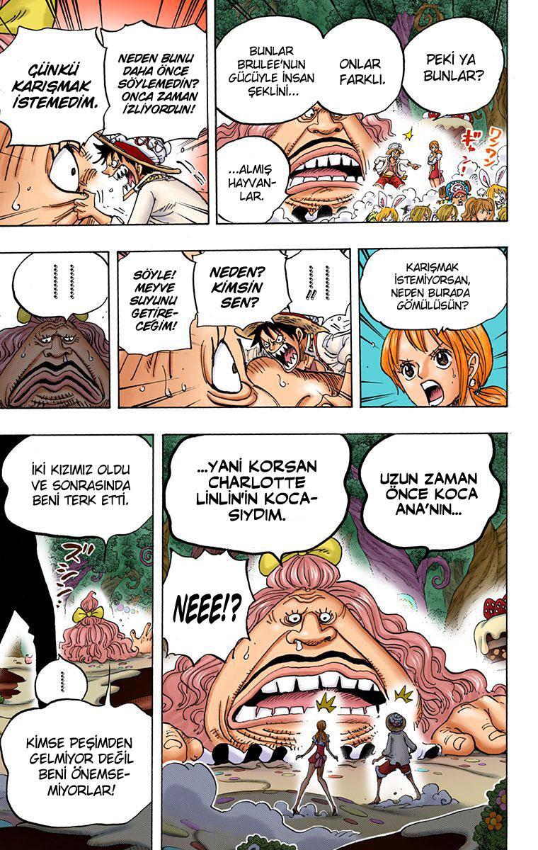 One Piece [Renkli] mangasının 835 bölümünün 17. sayfasını okuyorsunuz.