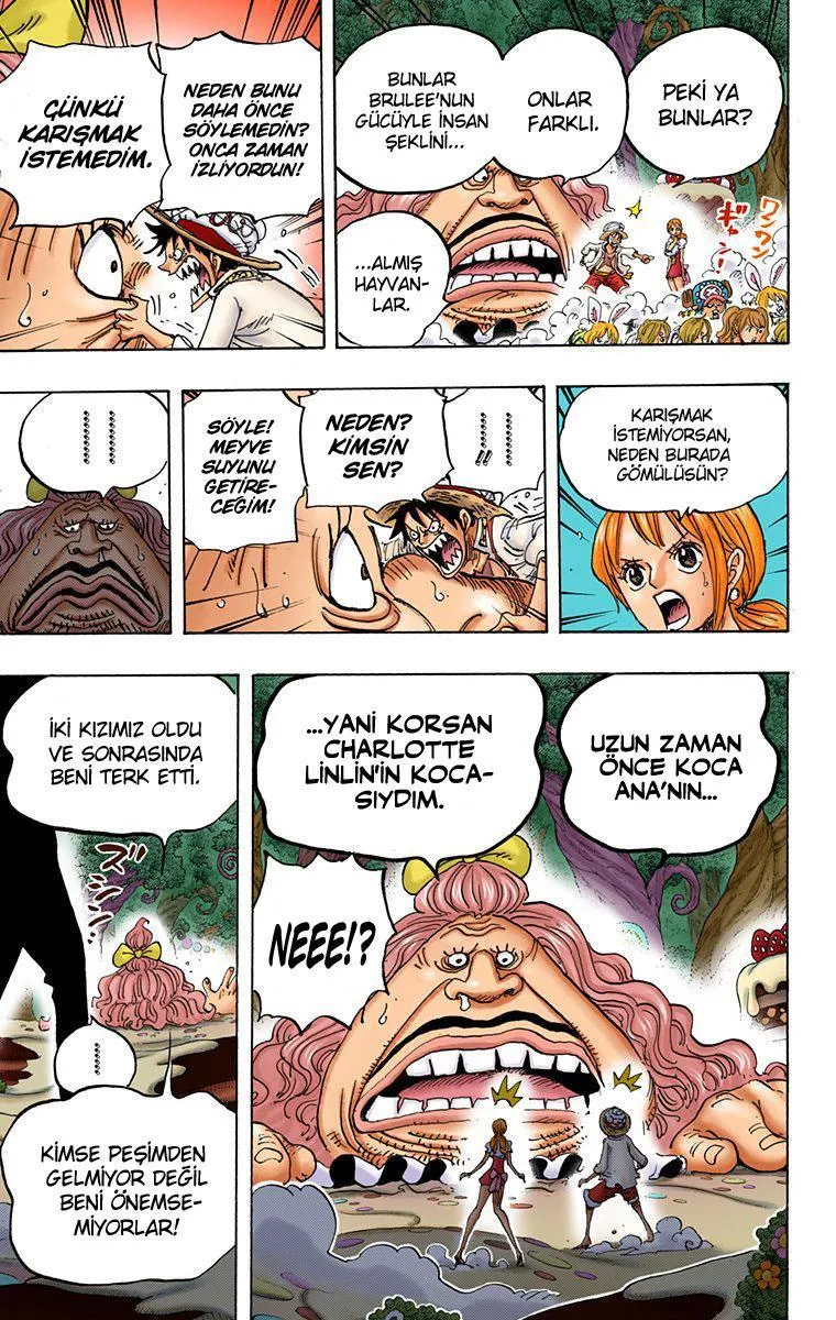 One Piece [Renkli] - Sayfa 17