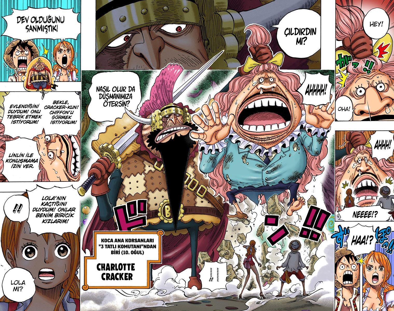 One Piece [Renkli] mangasının 835 bölümünün 18. sayfasını okuyorsunuz.