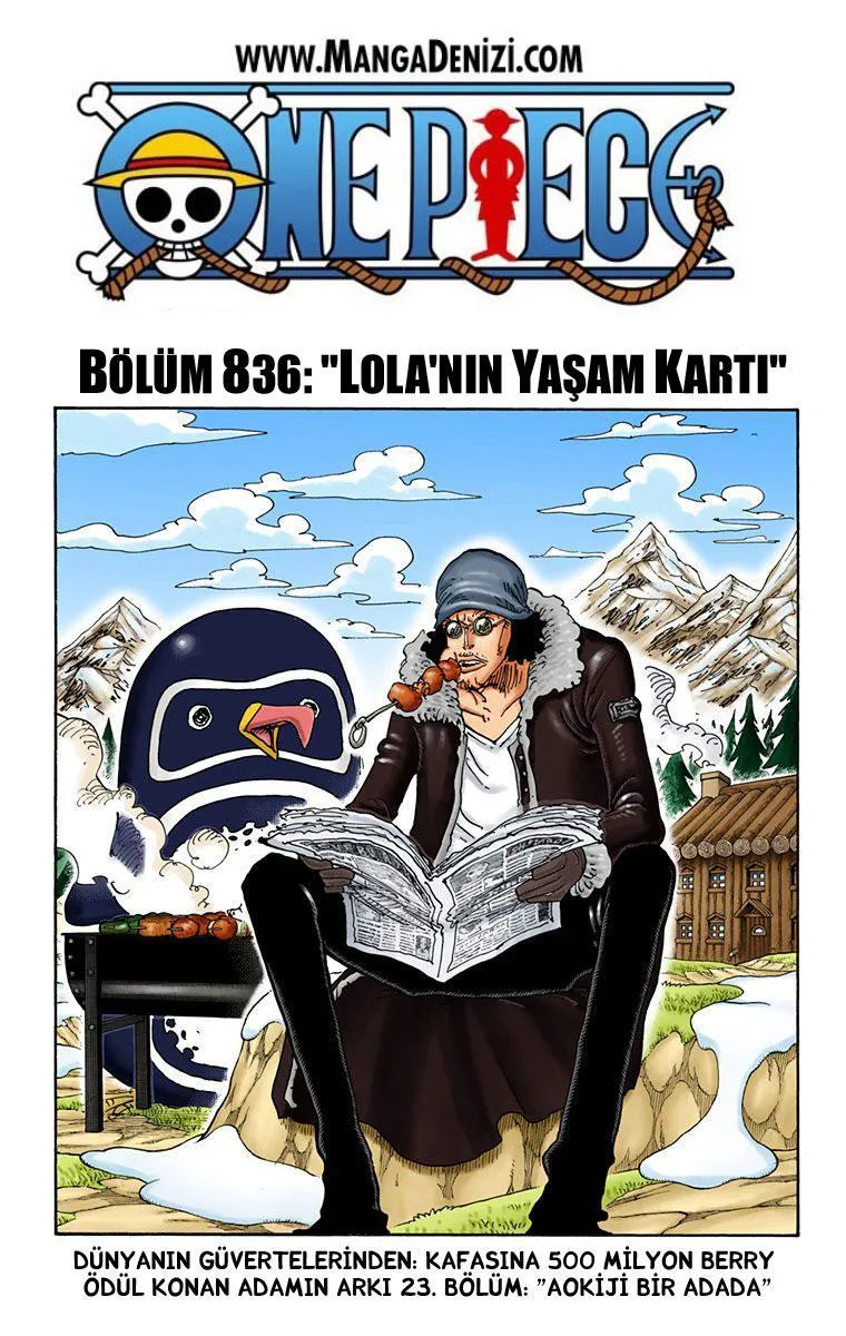 One Piece [Renkli] - Sayfa 2