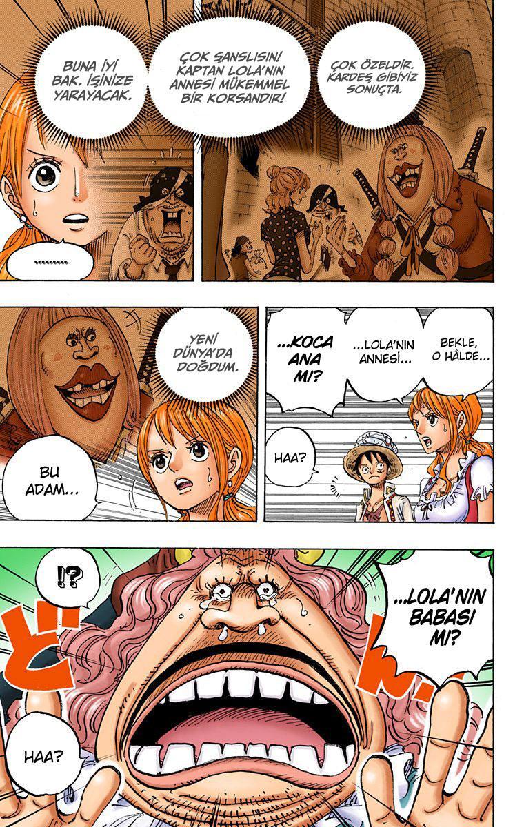 One Piece [Renkli] mangasının 836 bölümünün 4. sayfasını okuyorsunuz.