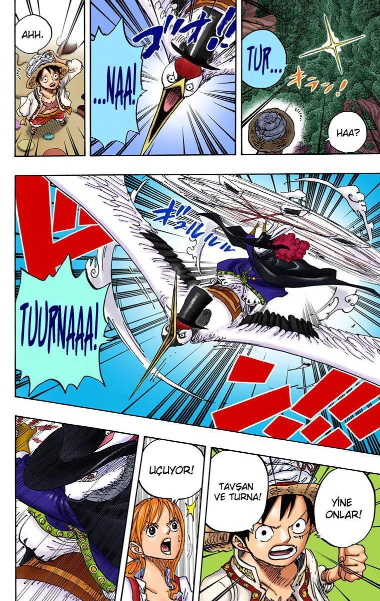 One Piece [Renkli] - Sayfa 5