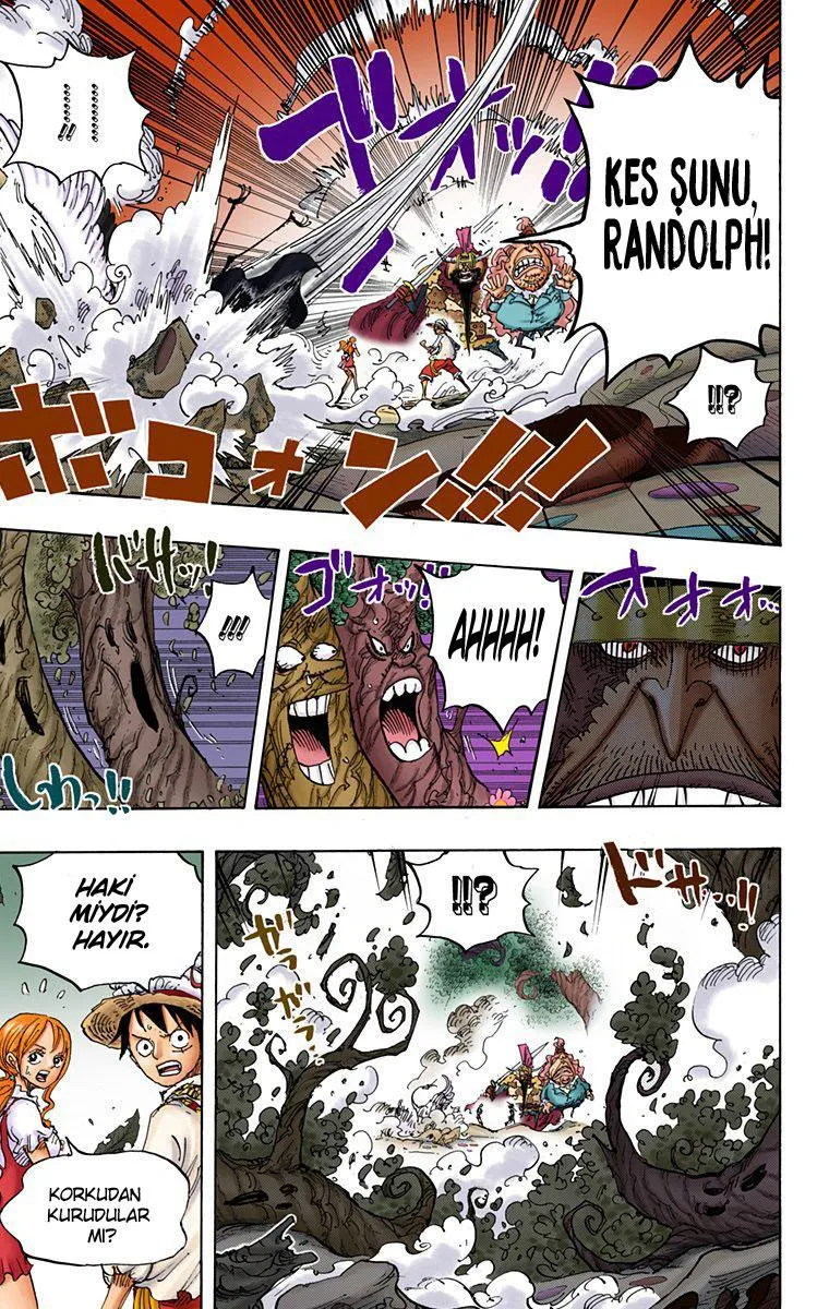 One Piece [Renkli] - Sayfa 6