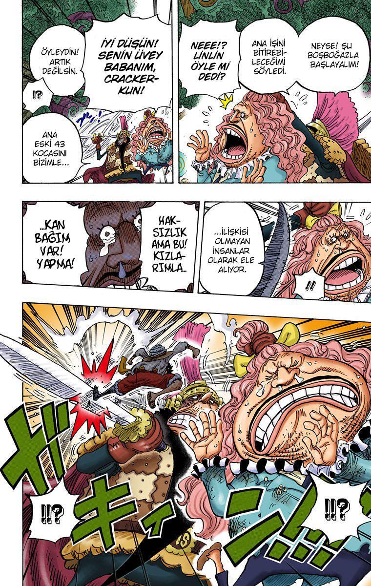 One Piece [Renkli] mangasının 836 bölümünün 11. sayfasını okuyorsunuz.