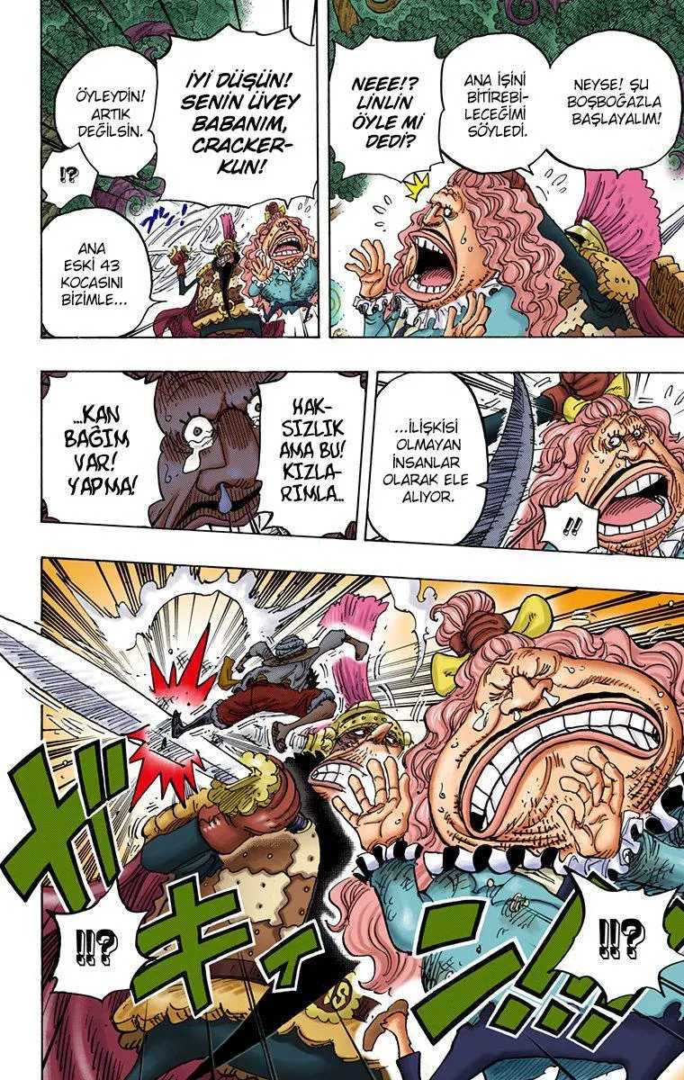 One Piece [Renkli] - Sayfa 11