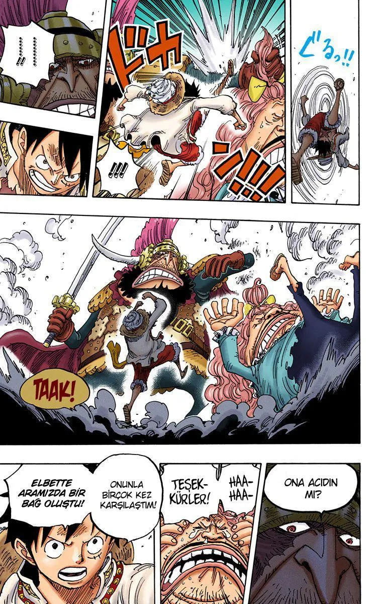 One Piece [Renkli] - Sayfa 12