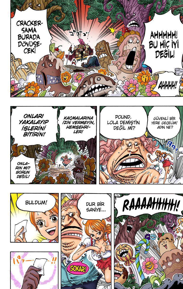 One Piece [Renkli] mangasının 836 bölümünün 13. sayfasını okuyorsunuz.