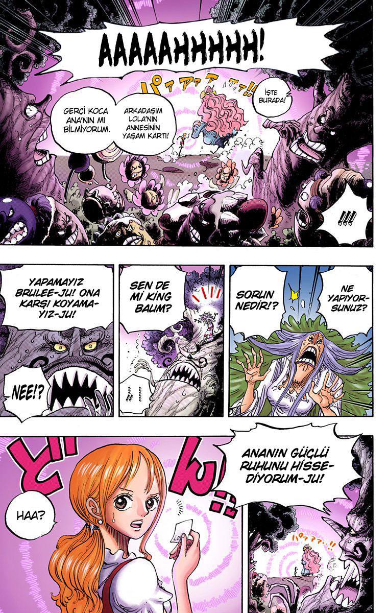 One Piece [Renkli] mangasının 836 bölümünün 14. sayfasını okuyorsunuz.