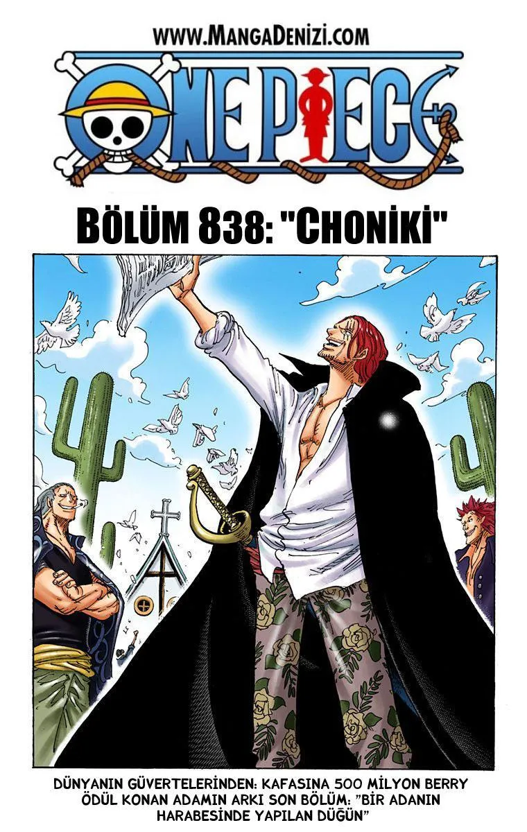 One Piece [Renkli] - Sayfa 2