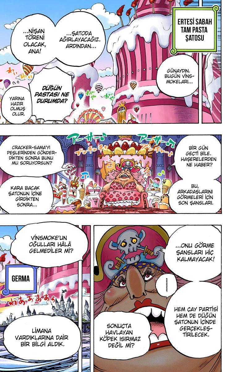 One Piece [Renkli] mangasının 838 bölümünün 14. sayfasını okuyorsunuz.