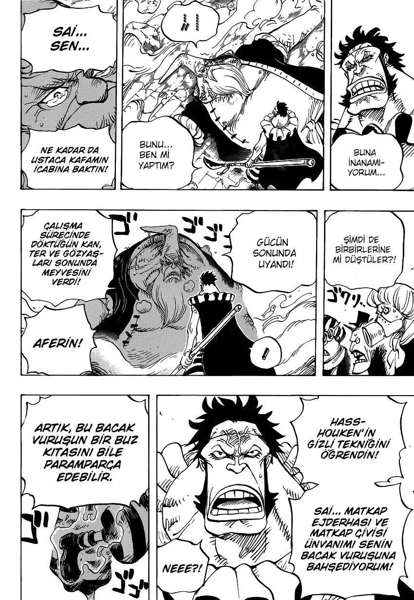 One Piece - Sayfa 13